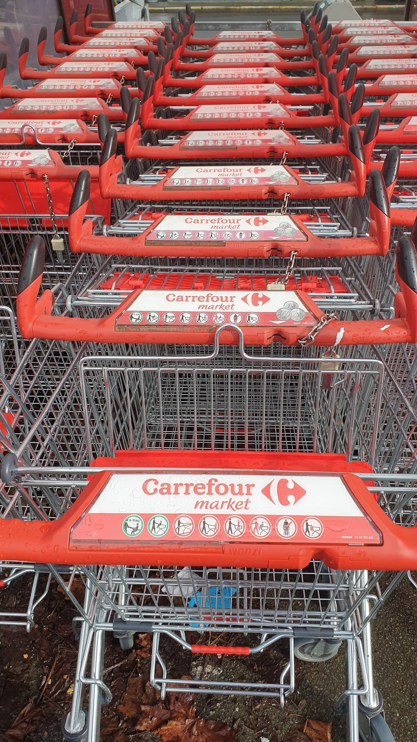 Chariots de supermarche