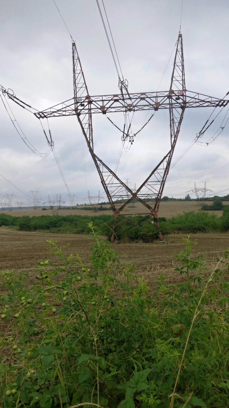 Éoliennes installées en bord de mer