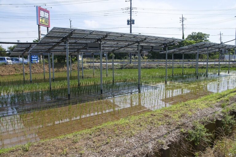 Panneaux solaires en centrale partagee : l'energie a bas cout