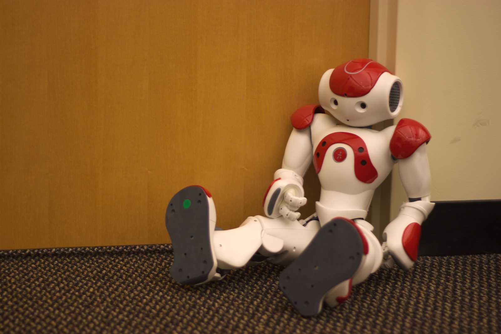 NAO en conference